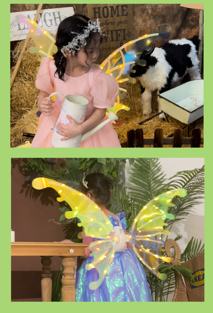 Princess Fairy Wings Role Play Costume About Us Kidz