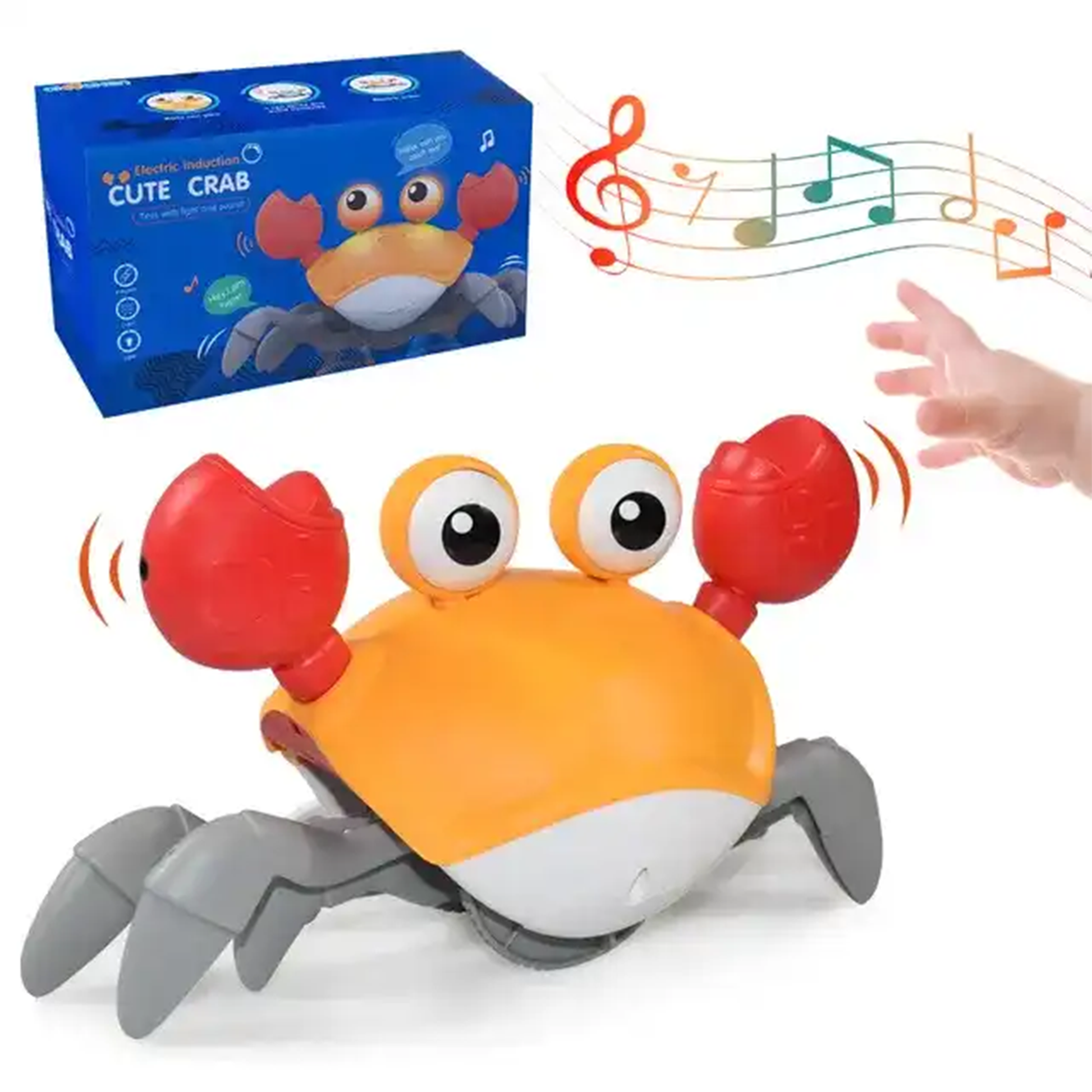 Cute Crab Adventurer Orange About Us Kidz