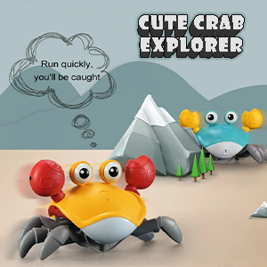 Cute Crab Adventurer About Us Kidz